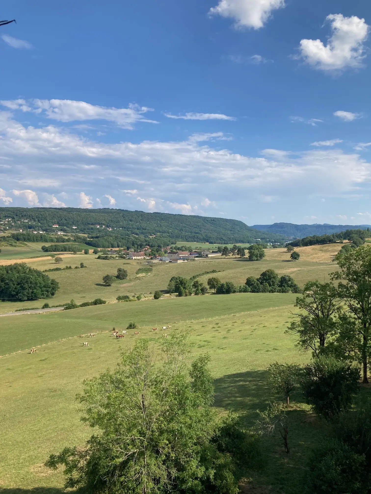 Paysage du Jura, prés verdoyants, petite montagne