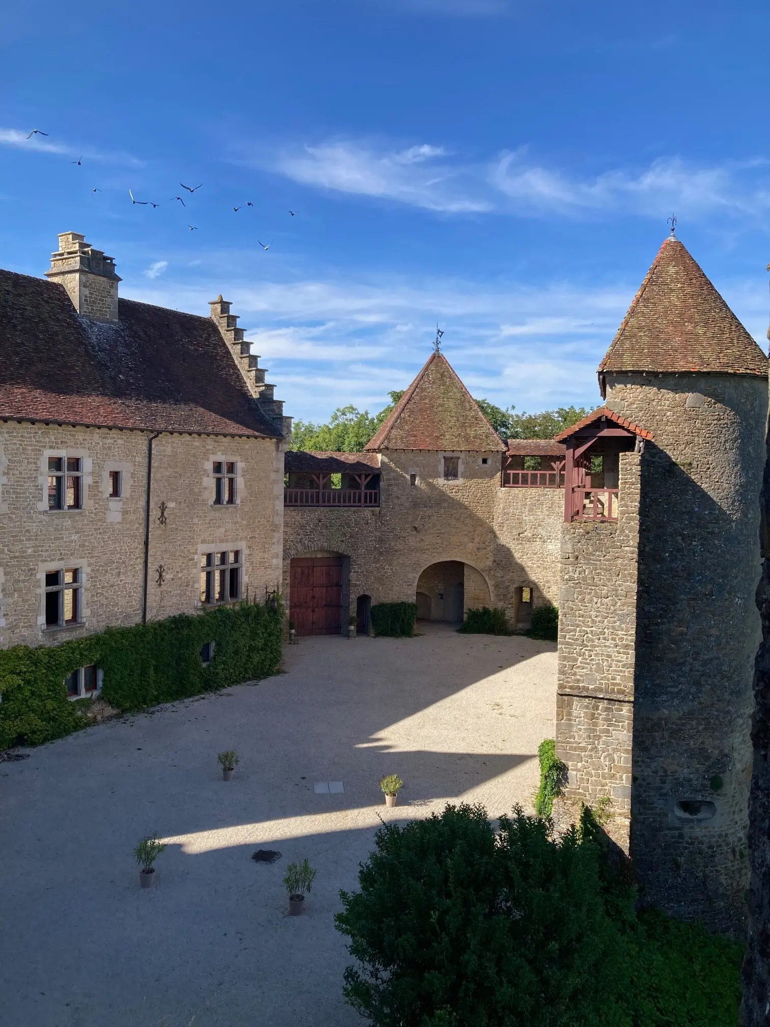 Château du Pin dans le Jura